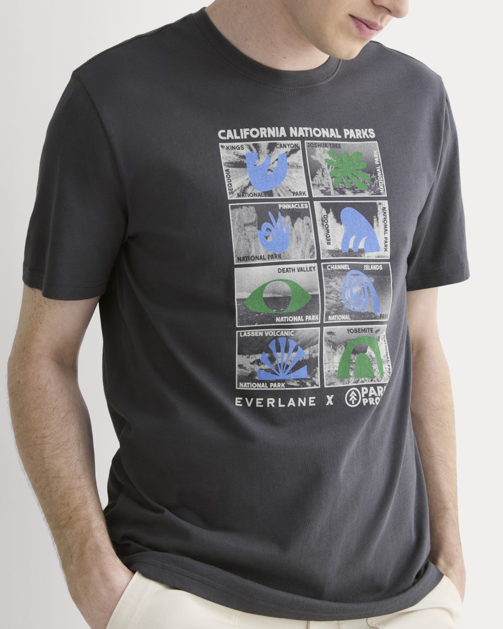 The Everlane x Parks Project Essential Organic Crew | Forged Iron / Natural / Granada Sky Blue / Green - Image 4