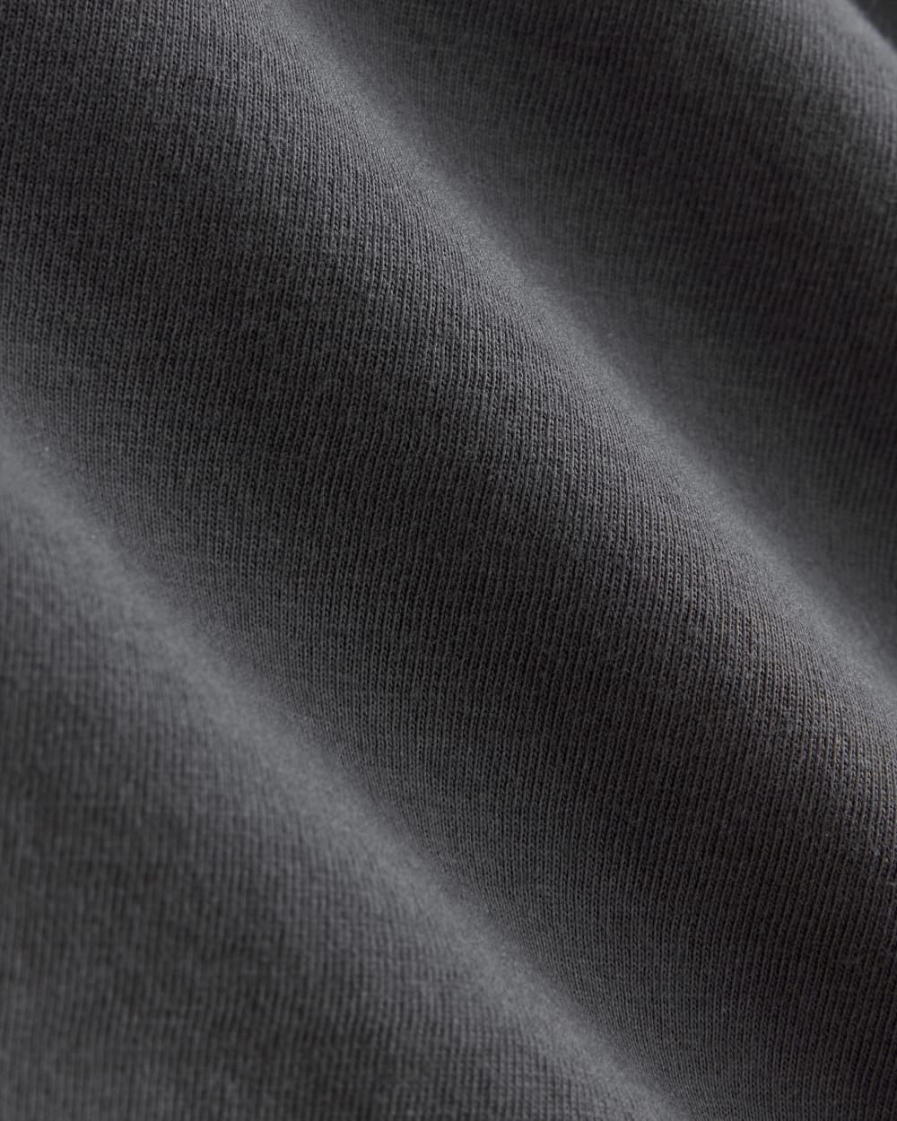 The Everlane x Parks Project Essential Organic Crew | Forged Iron / Natural / Granada Sky Blue / Green - Image 6