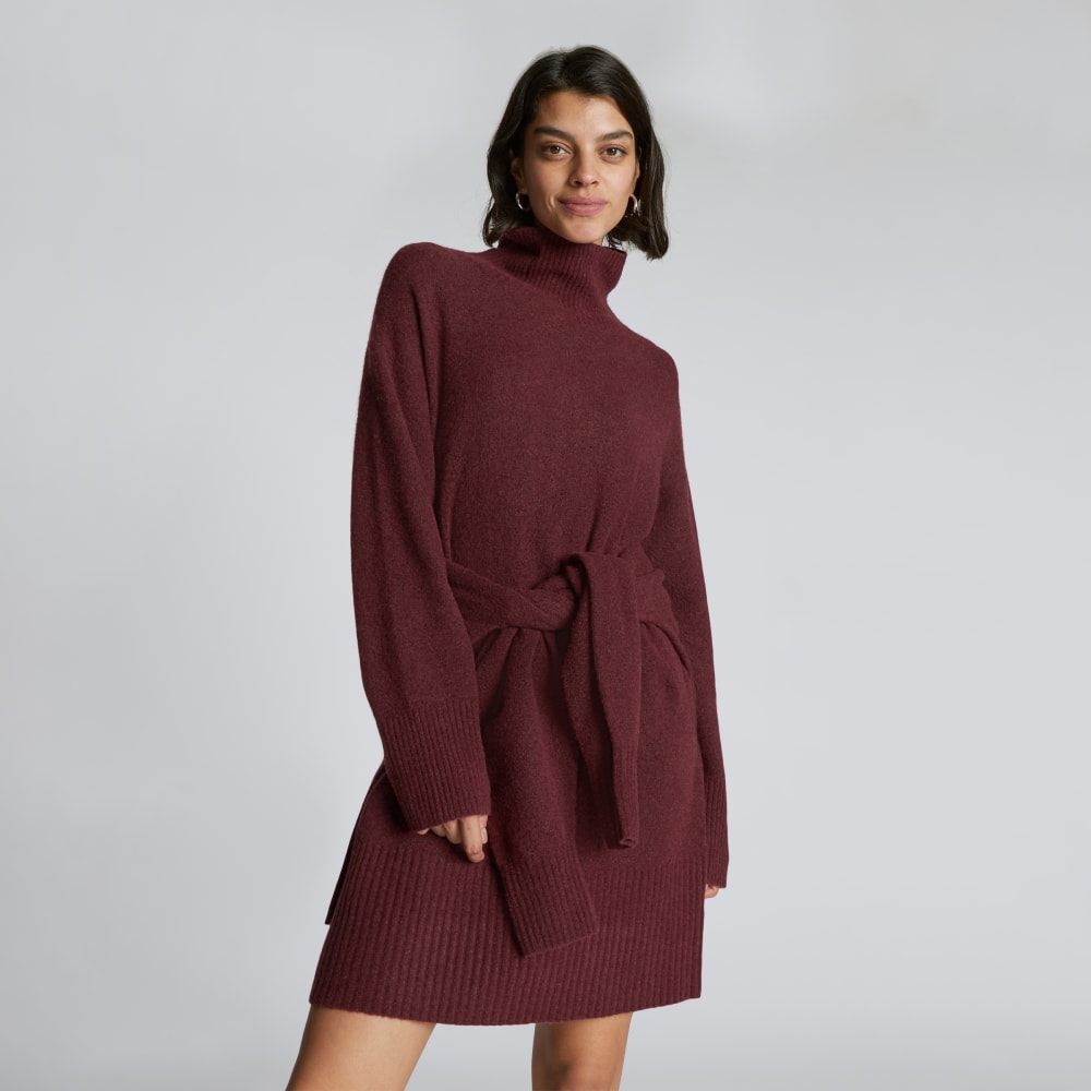 The Cozy Stretch Turtleneck Dress | Brandy - Image 5