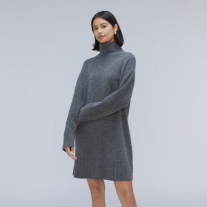 The Cozy Stretch Turtleneck Dress | Marin